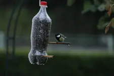 Vogelspender m Meise.webp
