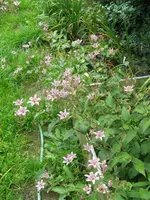 002_576x768.webp
