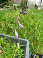 006_576x768.webp