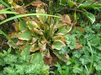 008_1024x768.webp