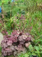 003_576x768.webp