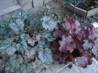 DSC03794.webp
