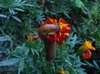 DSC03837.webp