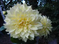 DSC03799.webp
