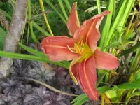 009_1024x768.webp