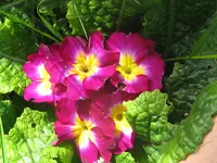005_1024x768.webp