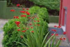 IMGP8013.webp