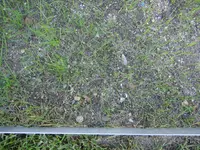 vor Erdentfernung.webp