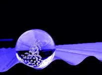 blaue Kugel.webp