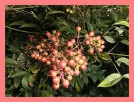 030.webp