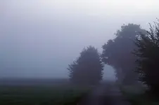 Weg im Nebel.webp