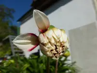 P1200859.webp