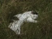 BILD3311.webp