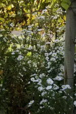 _DSC5987.webp