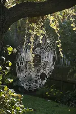 _DSC5974.webp