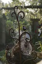 _DSC5969.webp