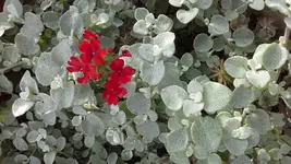 20140924_100604.webp