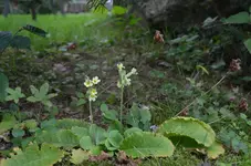 DSC_1088.webp