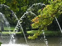 187.webp