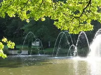 188.webp