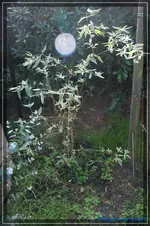 comp_DSC02329.webp