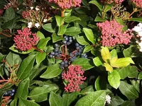 042.webp