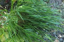 DSCF7965.webp