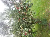 20140930_124344.webp