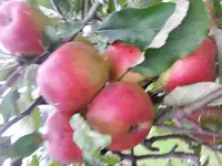 20140930_124402.webp