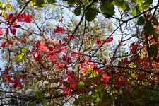 IMG_7199.webp