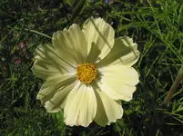 002.webp