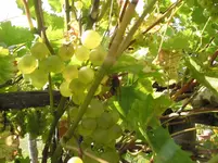 024.webp