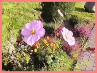 011.webp