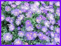 119.webp