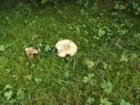 BILD3496.webp