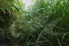 DSCF8034 (2).webp
