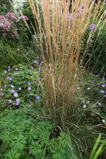 DSCF8037 (2).webp