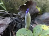 P1210028.webp