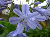 P1160451.webp