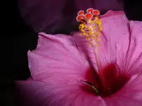 P1120756.webp