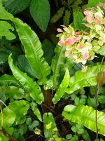 DSCN9541.webp
