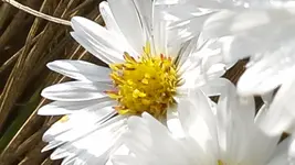 20141001_122430.webp