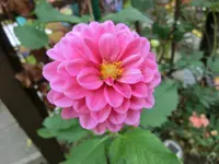 CIMG9192.webp