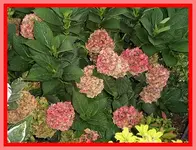 048.webp