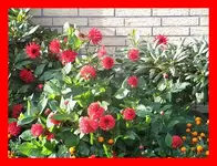 002.webp