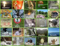 September 2014 ohne Wortev.webp