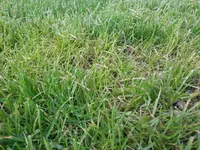 detail1.webp