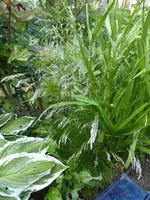 P1080200.webp