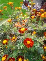 Herbst 2014.webp