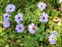 CIMG9212.webp